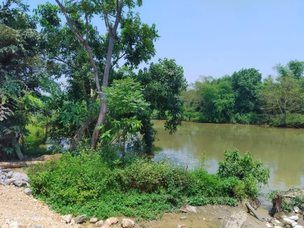 hoan-doi-bat-dong-san-330-m2-dat-thuy-xuan-tien-xuan-mai-chuong-my-ha-noi-1 Hoán đổi 330m2 đất mặt đường liên xã Thủy Xuân Tiên, Chương Mỹ, cách Hà Đông 23km