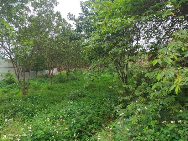 hoan-doi-bat-dong-san-461-m2-dat-thuy-xuan-tien-xuan-mai-chuong-my-ha-noi-1 Hoán đổi 461m2 đất ngõ ô tô, sát đường liên xã Thủy Xuân Tiên, Chương Mỹ